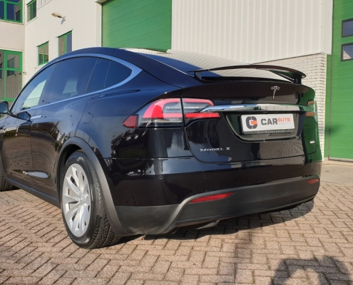 Tesla Model X Car Guys