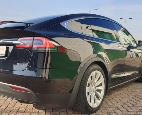 Tesla Model X Car Guys