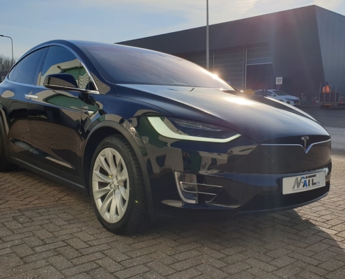 Tesla Model X Car Guys